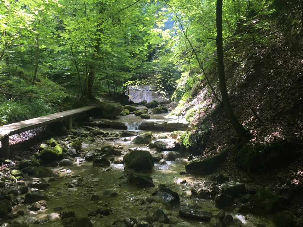 Bed And Breakfast Oase Im Seetal Gelfingen Екстер'єр фото