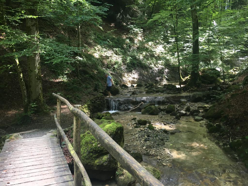 Bed And Breakfast Oase Im Seetal Gelfingen Екстер'єр фото