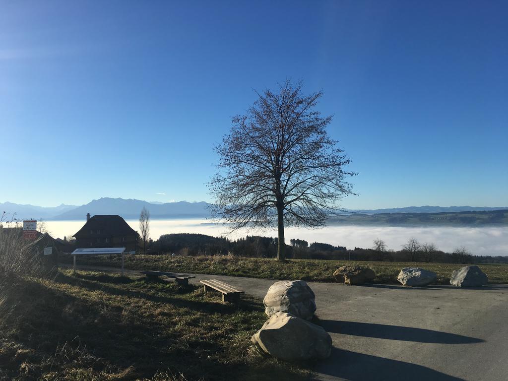 Bed And Breakfast Oase Im Seetal Gelfingen Екстер'єр фото