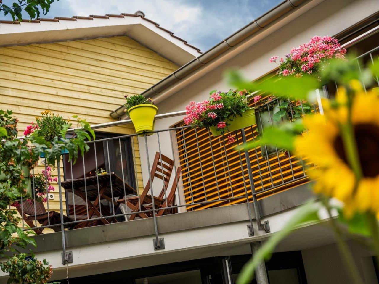 Bed And Breakfast Oase Im Seetal Gelfingen Екстер'єр фото